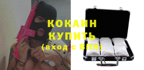 шишки Долгопрудный