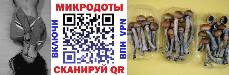 Галлюциногенные грибы ЛСД  даркнет сайт  Оленегорск 